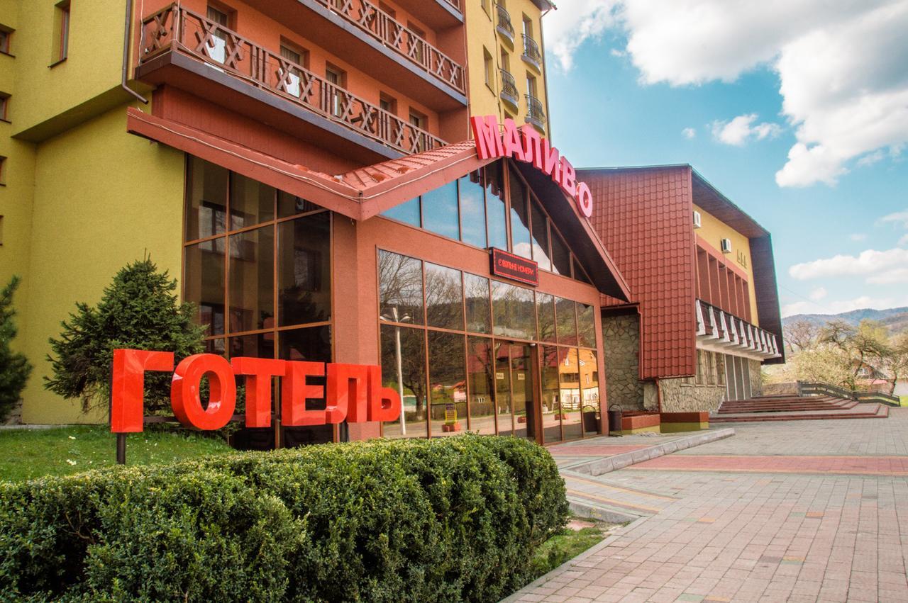 Malyvo Hotel Dilyatyn Extérieur photo